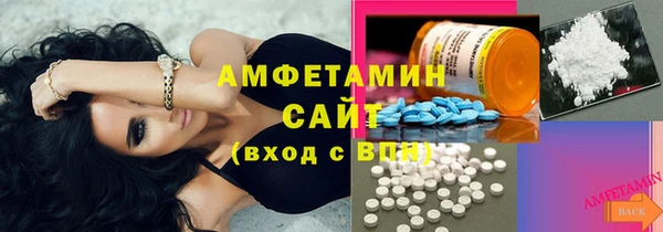индика Вяземский