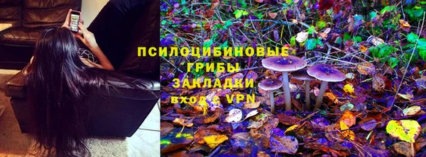 ПСИЛОЦИБИНОВЫЕ ГРИБЫ Алзамай