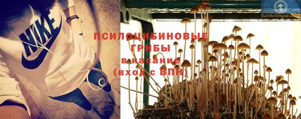 МДПВ Россошь