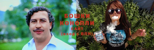 ПСИЛОЦИБИНОВЫЕ ГРИБЫ Алзамай
