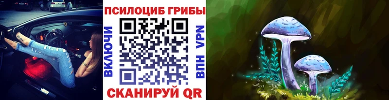 Галлюциногенные грибы ЛСД Новоузенск